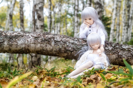 756531 (a): :1920x1271